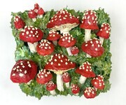 Happy Little Mushrooms